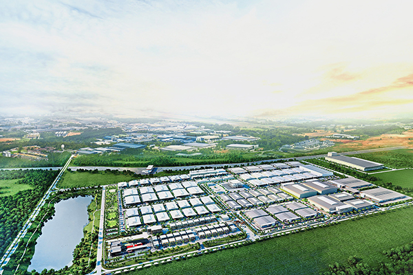 Shenzhen Scaffolding Plank Co.,Ltd