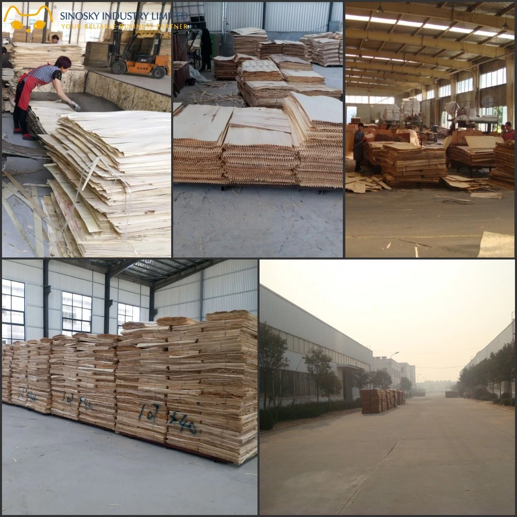 Best Price Pine LVL Scaffolding Plank Used for Construction
